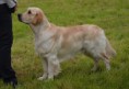 /album/fotogalerie-2/cane-11-5-2014-2-jpg/